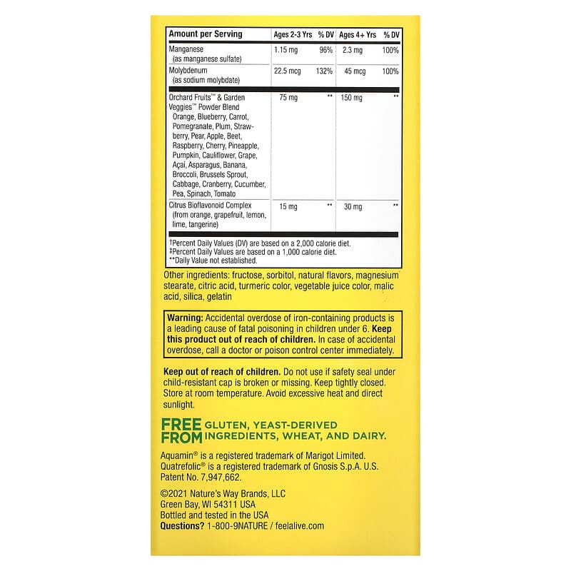 Nature's Way, Alive!® Kids, Chewable Multivitamin, Ages 2+, Orange &amp; Berry Fruit, 120 Chewable Tablets