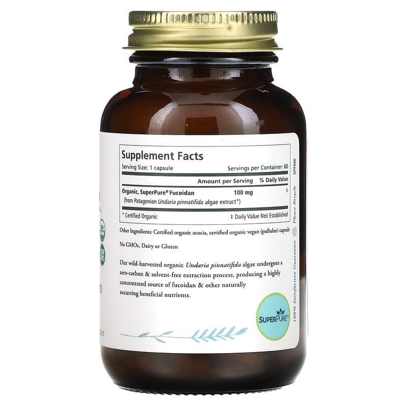 Pure Synergy, SuperPure® Fucoidan, 60 Capsules (100 mg Capsule)
