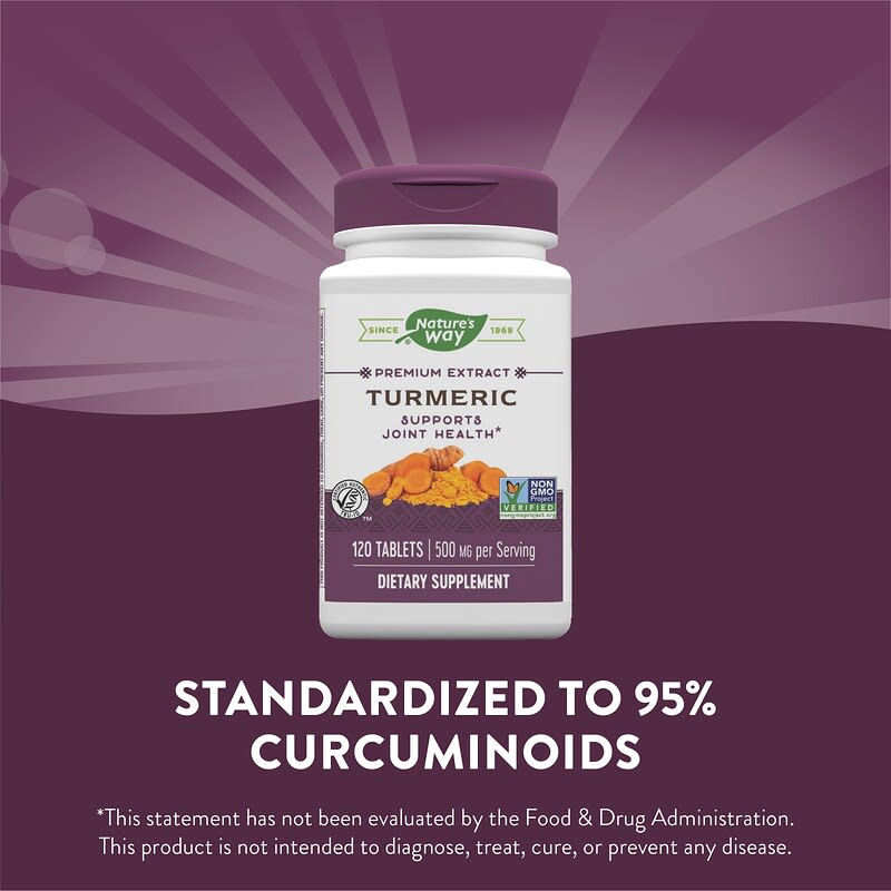 Nature's Way, Turmeric, Premium Extract, 500 mg, 120  Vegan Tablets