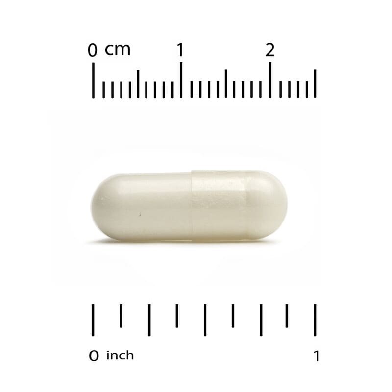 California Gold Nutrition, PEA 300 mg + PQQ 10 mg, 90 Veggie Capsules