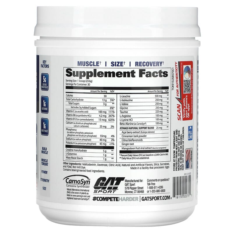 GAT, JetMASS, Fast-Acting Volumizing Creatine System, Strawberry Lemonade, 25 oz (708 g)