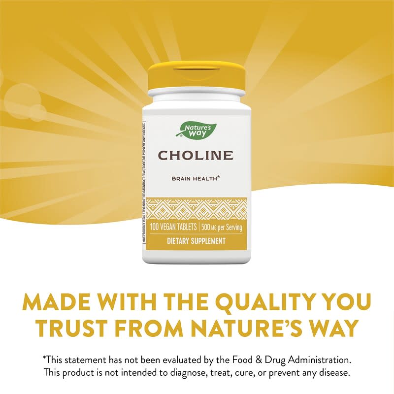 Nature's Way, Choline, 500 mg, 100 Vegan Tablets